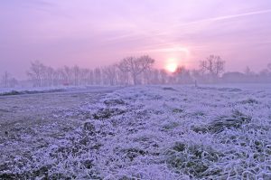 Frozen field in winter with purple sky