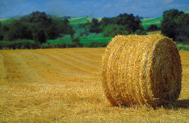 A harvest field with a large bale of hay